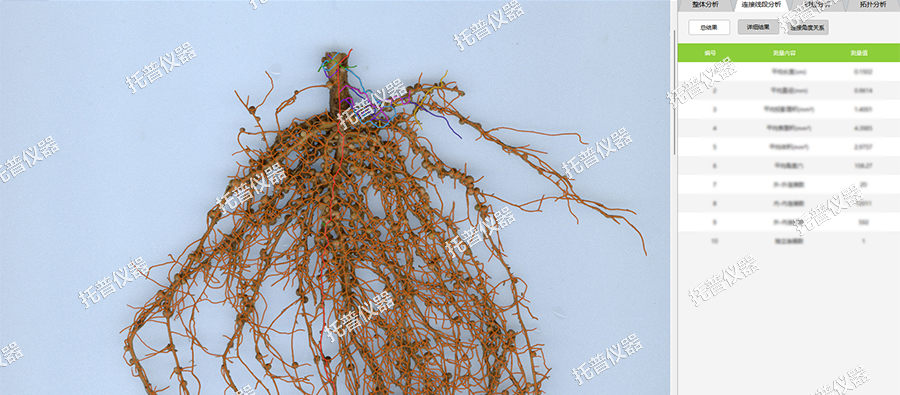 儀器 花生-連接線段分析.jpg