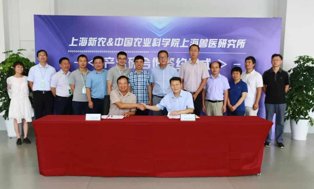 nealjhnvlah nealjhnvlah